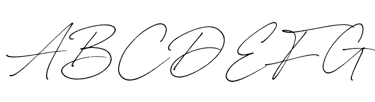 Carneys Gallery Script Demo Ver  Free Fonts Download