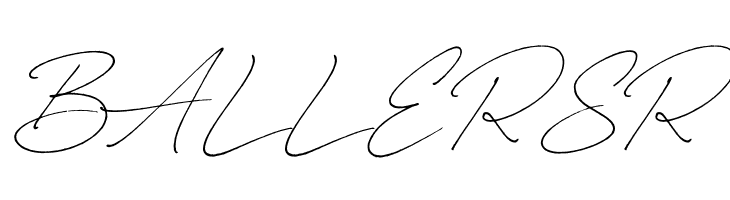 Carneys Gallery Script Demo Ver  Free Fonts Download