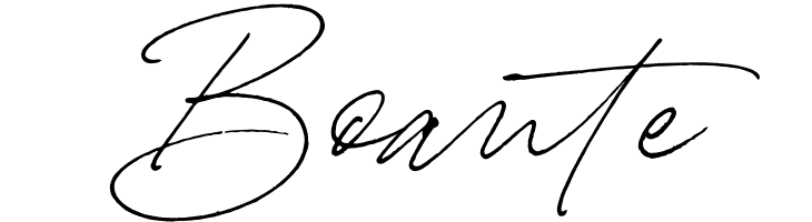 Carneys Gallery Script Demo Ver  Free Fonts Download