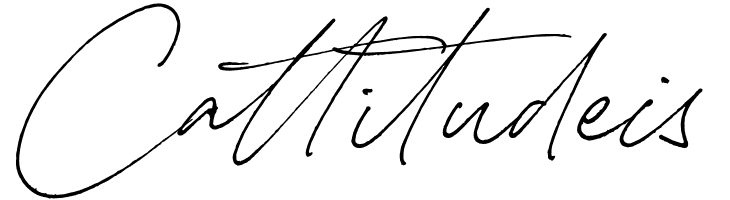 Carneys Gallery Script Demo Ver  Free Fonts Download