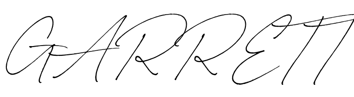 Carneys Gallery Script Demo Ver  Free Fonts Download