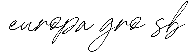 Carneys Gallery Script Demo Ver  Free Fonts Download