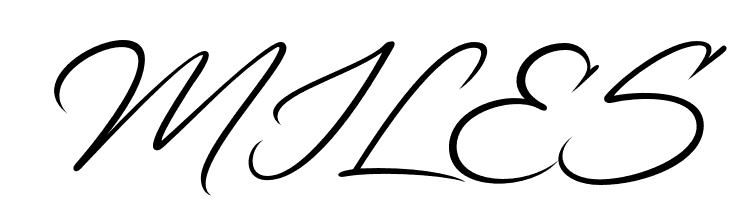 Alander-Regular  Free Fonts Download