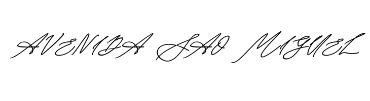 Seoul script Bold Italic  Free Fonts Download