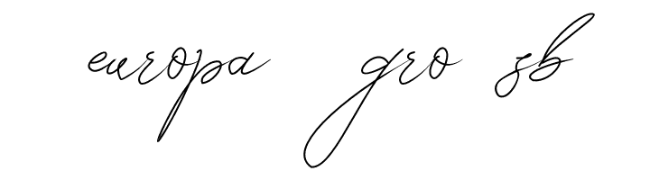 Seoulscript  Free Fonts Download