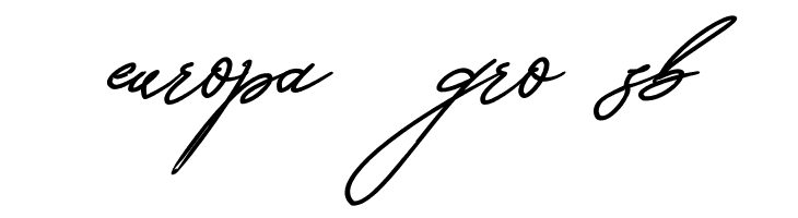 Seoulscript-BoldItalic  Free Fonts Download
