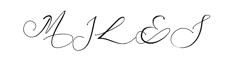 Mariagata  Free Fonts Download