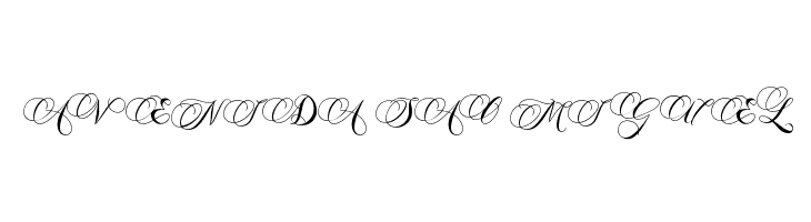 Antika  Free Fonts Download