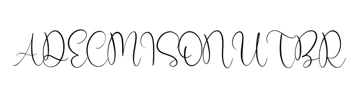 Birdwatch  Free Fonts Download