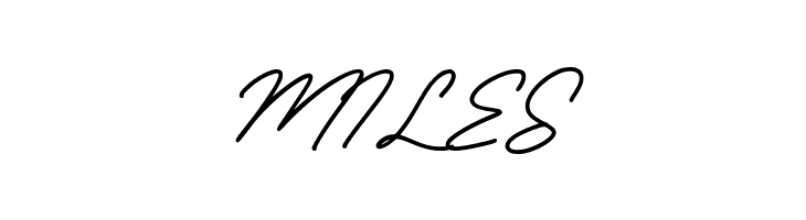 Sunday Bridge  Free Fonts Download