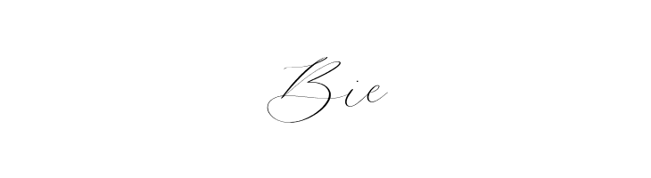 Camila Raindrop  Free Fonts Download