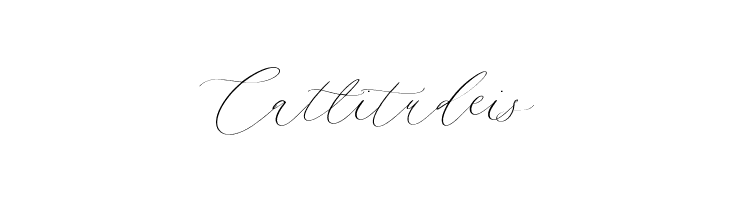 Camila Raindrop  Free Fonts Download