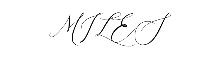 Larosa  Free Fonts Download