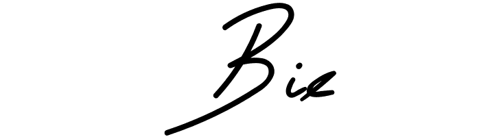 Husslee Break  Free Fonts Download