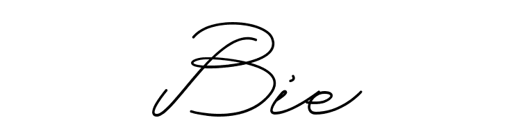 Alegant Script  Free Fonts Download