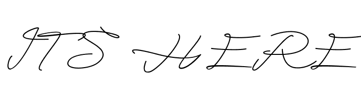 Alegant Script  Free Fonts Download