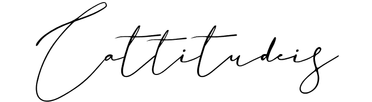 Basstian  Free Fonts Download