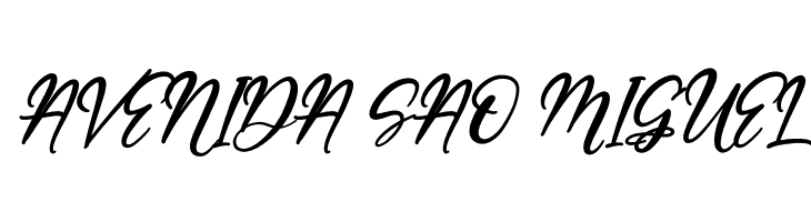 Barfield Lady Italic  Free Fonts Download