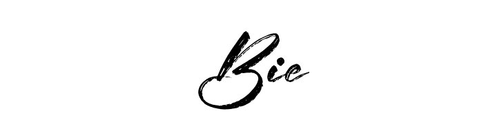 Castedral  Free Fonts Download
