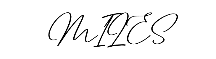 Dettreon Smith Italic  Free Fonts Download