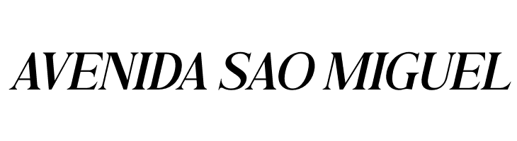 Andine Italic  Free Fonts Download