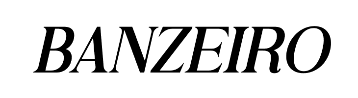 Andine Italic  Free Fonts Download