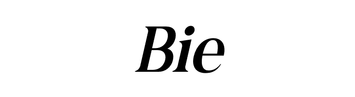 Andine Italic  Free Fonts Download