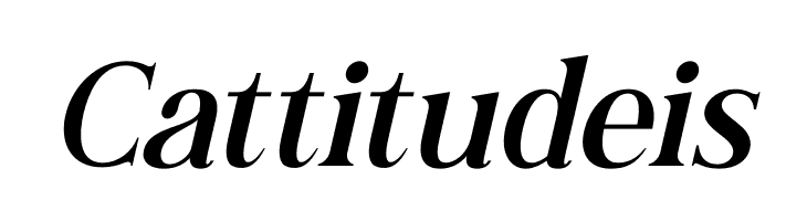 Andine Italic  Free Fonts Download