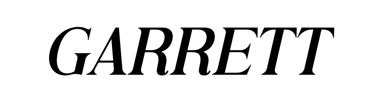 Andine Italic  Free Fonts Download