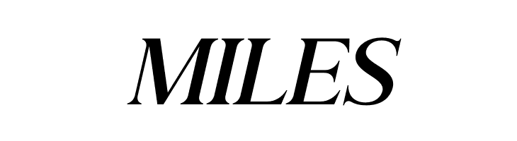 Andine Italic  Free Fonts Download