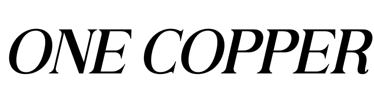 Andine Italic  Free Fonts Download