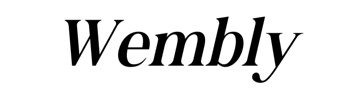 Andine Italic  Free Fonts Download