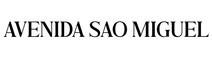 Andine  Free Fonts Download