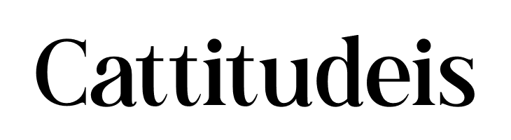 Andine  Free Fonts Download