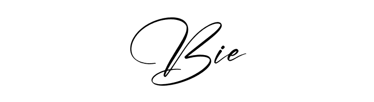 Gashina Beauty  Free Fonts Download