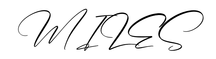 Gashina Beauty  Free Fonts Download