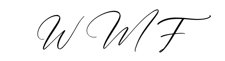 Gashina Beauty  Free Fonts Download