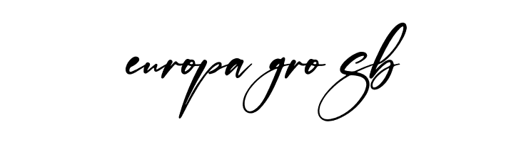 Thomson Signate  Free Fonts Download