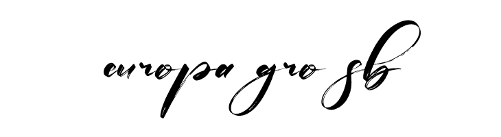 Bintang Signature  Free Fonts Download