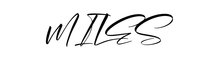 Alishanty Signature  Free Fonts Download