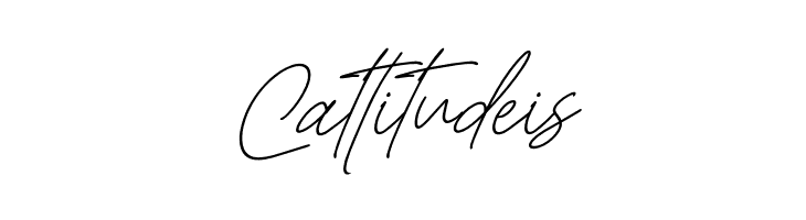 Christina Signature Italic  Free Fonts Download
