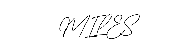 Christina Signature Italic  Free Fonts Download