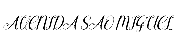 Agilia Italic  Free Fonts Download