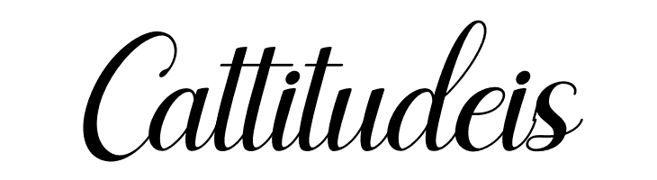 Agilia Italic  Free Fonts Download