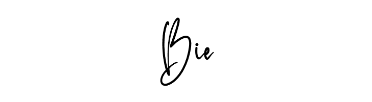 Rotherdam Signature  Free Fonts Download