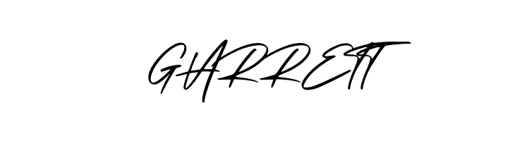 Arista Signature  Free Fonts Download