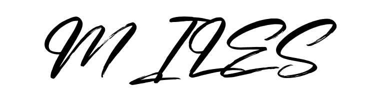 Hamstedam  Free Fonts Download