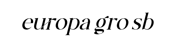 The Castle Elizah Italic  Free Fonts Download