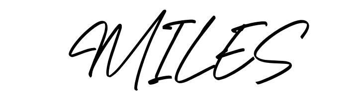 Richard Hamilton Italic  Free Fonts Download