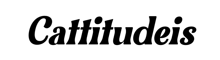 Bulgeria Italic  Free Fonts Download